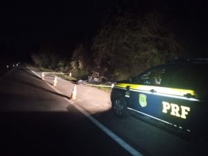 Motorista morre após colisão contra árvore na BR-392