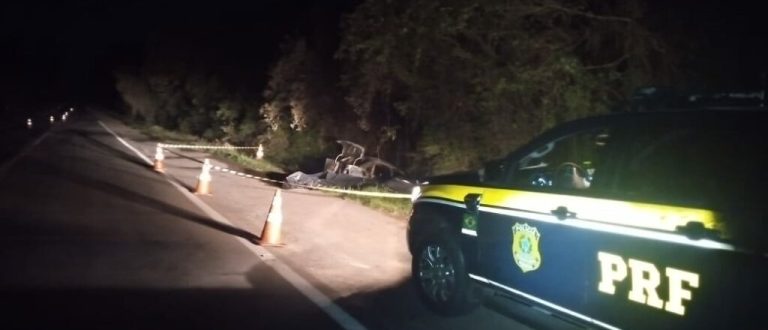 Motorista morre após colisão contra árvore na BR-392