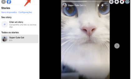 Como baixar vídeos e stories do Facebook para o seu computador 