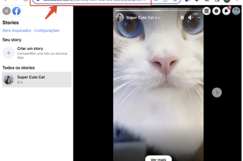 Como baixar vídeos e stories do Facebook para o seu computador 