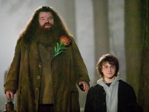 Morre ator que interpretou Hagrid na saga de Harry Potter