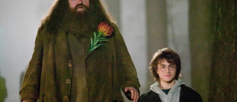 Morre ator que interpretou Hagrid na saga de Harry Potter