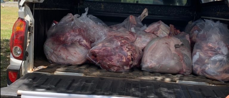 Volta da Charqueada: ação contra clandestinidade apreende 171 quilos de carne