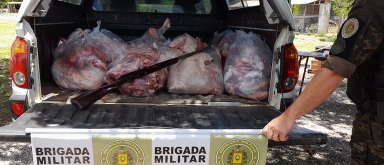 Ação do 2º Pelotão Ambiental na Charqueada teve apreensão de arma e munições e flagra de crime ambiental