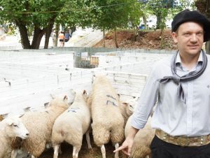 Agropecuária Bampi acumula mais prêmios na ovinocultura