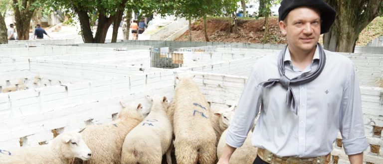 Agropecuária Bampi acumula mais prêmios na ovinocultura