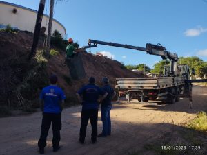 Risco de queda de duas árvores mobiliza mutirão no Bairro Marques Ribeiro