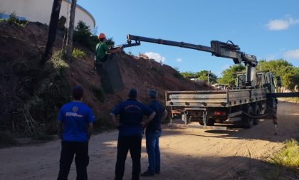 Risco de queda de duas árvores mobiliza mutirão no Bairro Marques Ribeiro