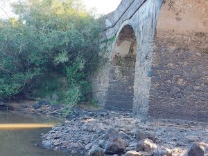 Estiagem castiga as lavouras e afeta nível dos rios