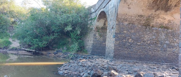 Estiagem castiga as lavouras e afeta nível dos rios