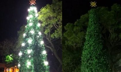 Luzes da Árvore de Natal da CDL são furtadas