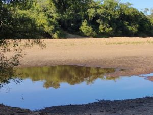 Estiagem acende alerta para irrigação em Cachoeira e região