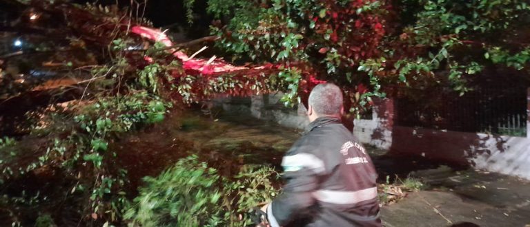 Vendaval causa estragos em Cachoeira do Sul