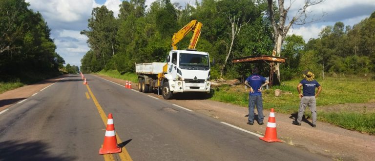 Perigo na BR-290: árvores com risco de queda mobilizam Defesa Civil