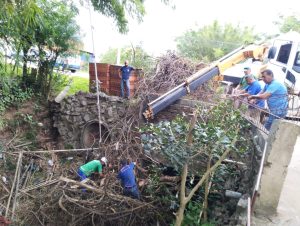 Árvore caída tranca passagem de água no Arroio Amorim