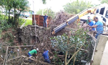 Árvore caída tranca passagem de água no Arroio Amorim