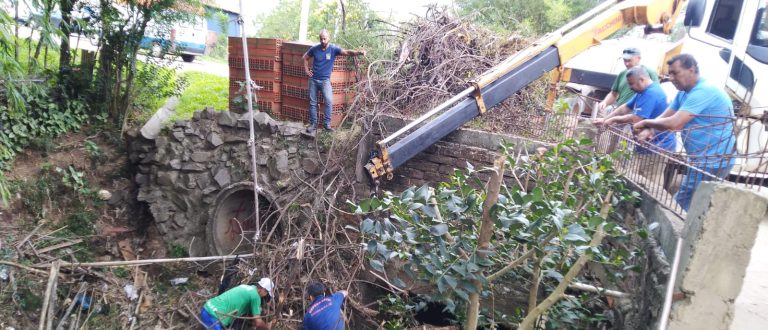 Árvore caída tranca passagem de água no Arroio Amorim