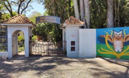 Zoológico Municipal fechado durante o final de semana para check-up dos animais