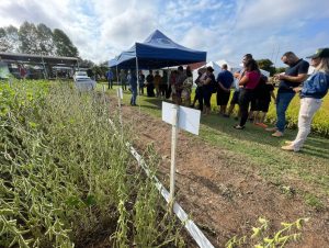 Irga destaca produção da Região Central na Expoagro Afubra