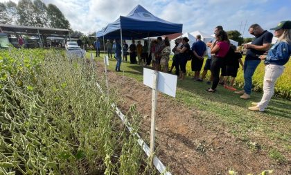 Irga destaca produção da Região Central na Expoagro Afubra