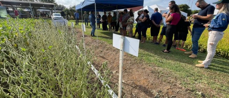 Irga destaca produção da Região Central na Expoagro Afubra