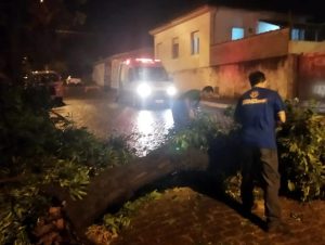 Chuva causa estragos em Cachoeira do Sul