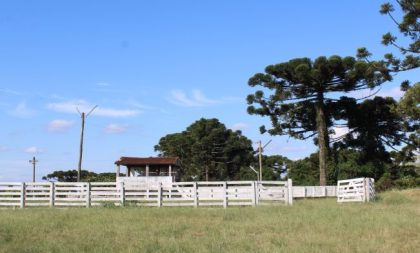 IX Rodeio Crioulo começa nesta sexta em Cerro Branco