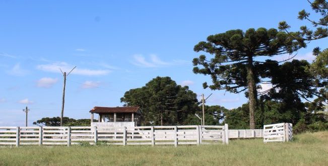 IX Rodeio Crioulo começa nesta sexta em Cerro Branco