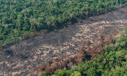 Sob Governo Lula, desmatamento bate recorde histórico na Amazônia