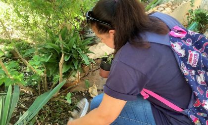 Supermutirão contra Dengue: 432 imóveis no Marques Ribeiro