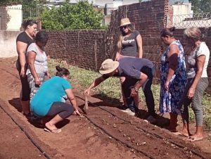 Horta Comunitária do CRAS Frota recebe o plantio de 1.024 unidades de mudas