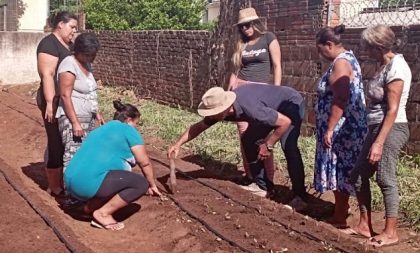 Horta Comunitária do CRAS Frota recebe o plantio de 1.024 unidades de mudas