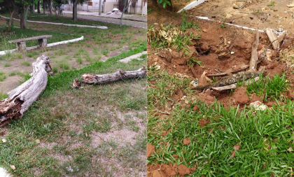 Galhos, buraco e grama alta: vereador pede atenção com praça na Borges