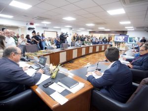 Audiência debate crise no Irga