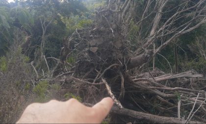 Batalhão Ambiental de Cachoeira do Sul deflagra Operação Força Verde