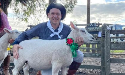 Agropecuária Bampi é campeã em borregas Texel em Jaguarão