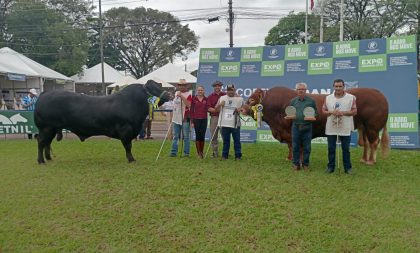 Fazenda Boa Esperança faz sua genética brilhar na ExpoLondrina