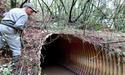 Após identificação de focos em Cachoeira do Sul, RS amplia alerta contra raiva