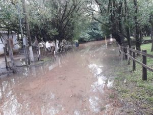 Arroio Irapuá alaga região ribeirinha