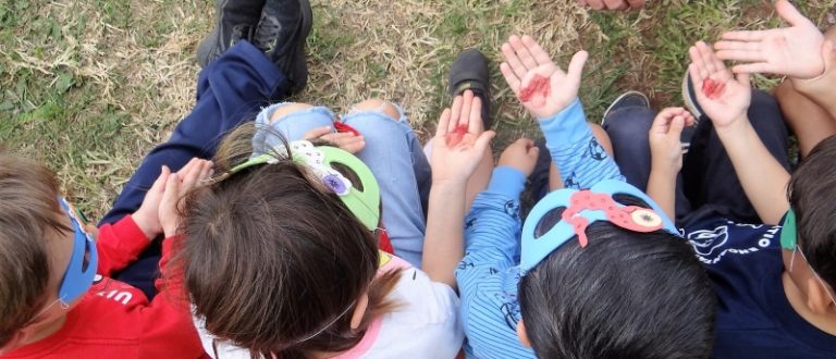 Contaminação por bactérias é tema da Saúde nas escolas