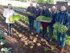 Horta Comunitária do Cras Frota recebe mais 650 mudas da Rede Tischler