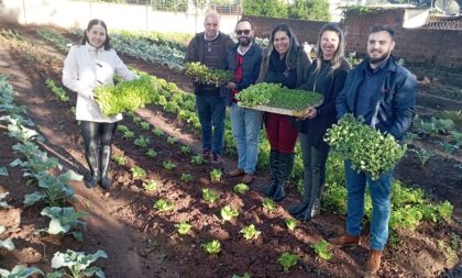 Horta Comunitária do Cras Frota recebe mais 650 mudas da Rede Tischler