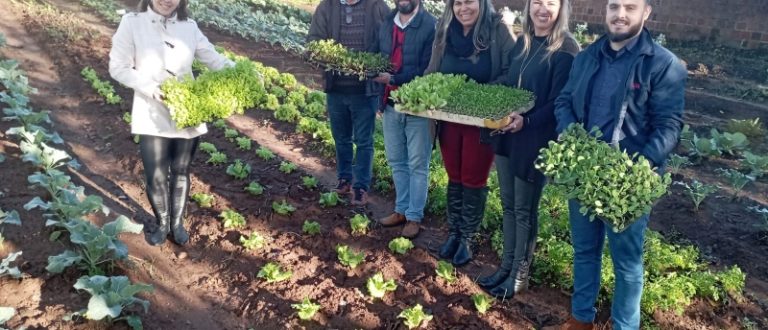 Horta Comunitária do Cras Frota recebe mais 650 mudas da Rede Tischler