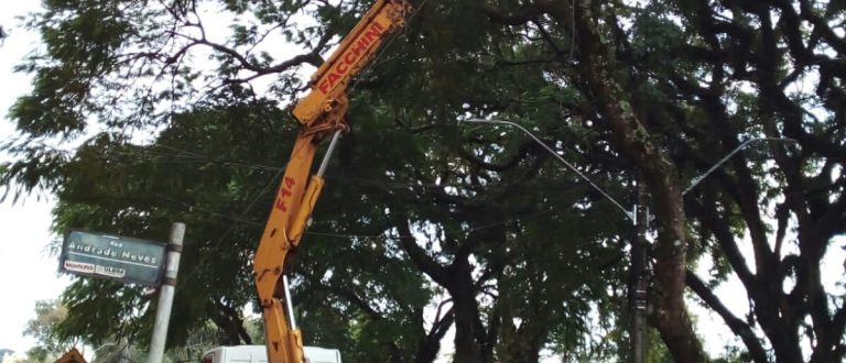 Prefeitura dá uma geral nas tipuanas da Praça José Bonifácio