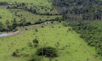 Banco do Brasil passa a aceitar créditos de carbono em leilões de imóveis rurais