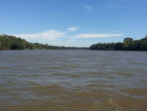 Dia do Meio Ambiente: Cachoeira do Sul integra mobilização estadual