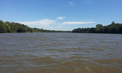 Dia do Meio Ambiente: Cachoeira do Sul integra mobilização estadual