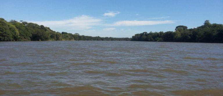 Dia do Meio Ambiente: Cachoeira do Sul integra mobilização estadual