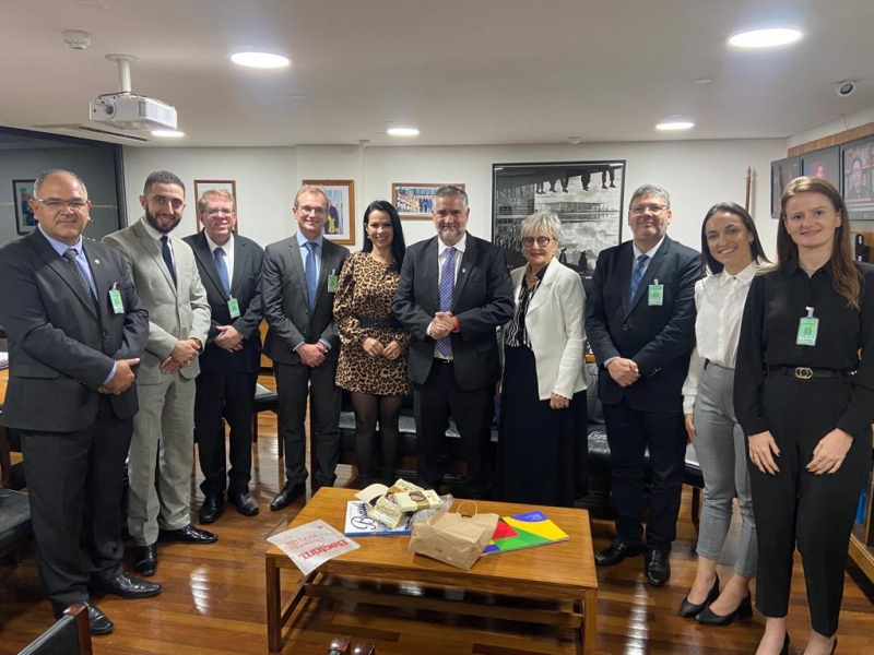 Comitiva em defesa do curso de Medicina em Cachoeira do Sul em Brasília / Crédito: Divulgação