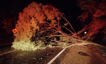 Ciclone Extratropical: Defesa Civil registra ocorrências em Cachoeira do Sul